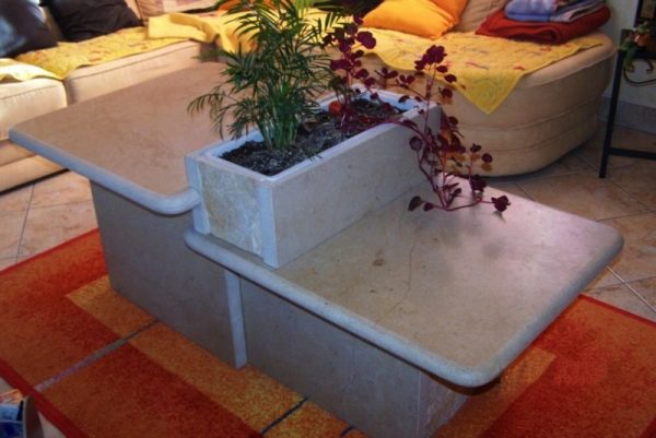 Table basse jardinière