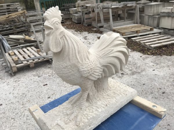 Coq